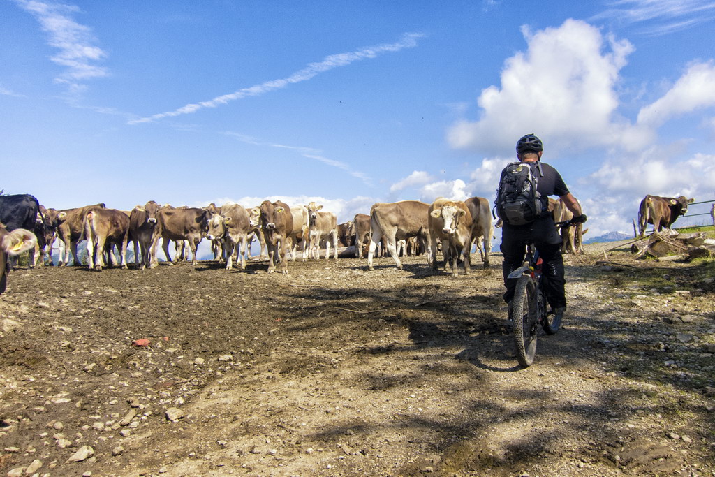 Edelsberg - Sven Michalczak