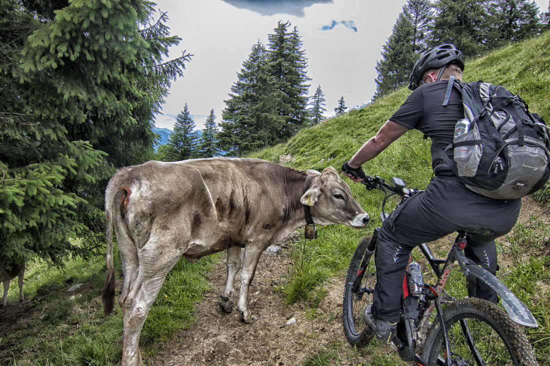 Hirschalpe - Sven Michalczak