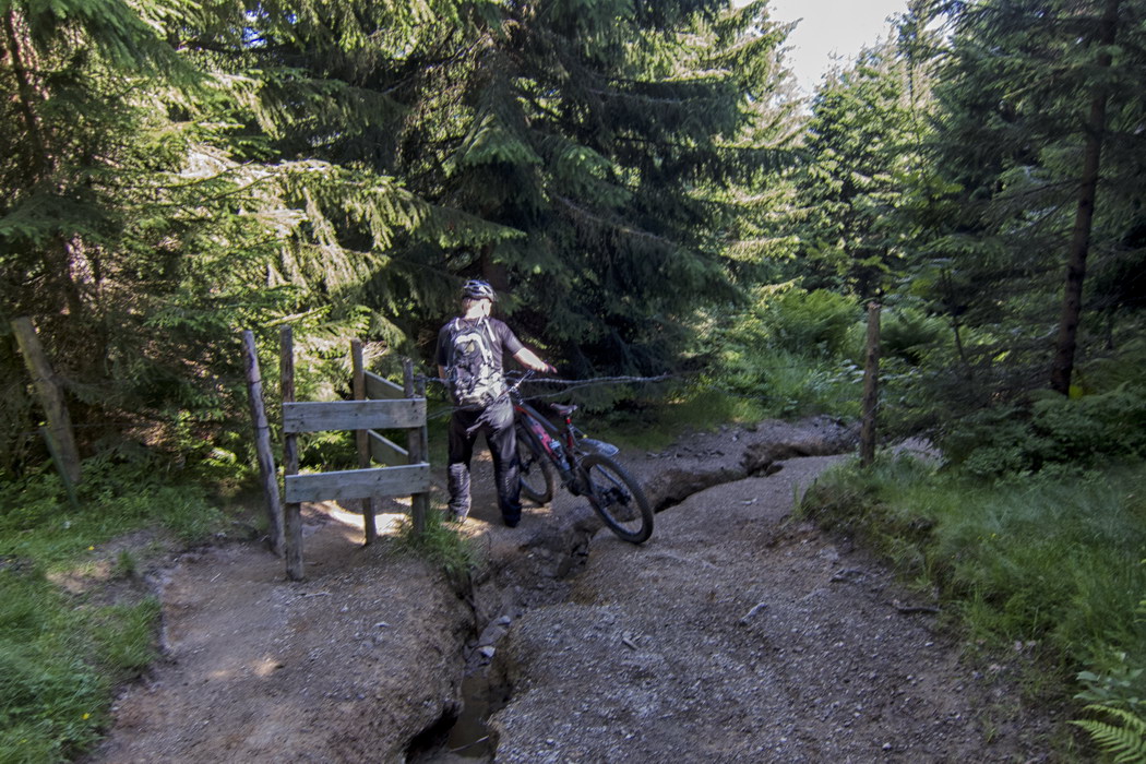 Trail Buchalpe - Sven Michalczak