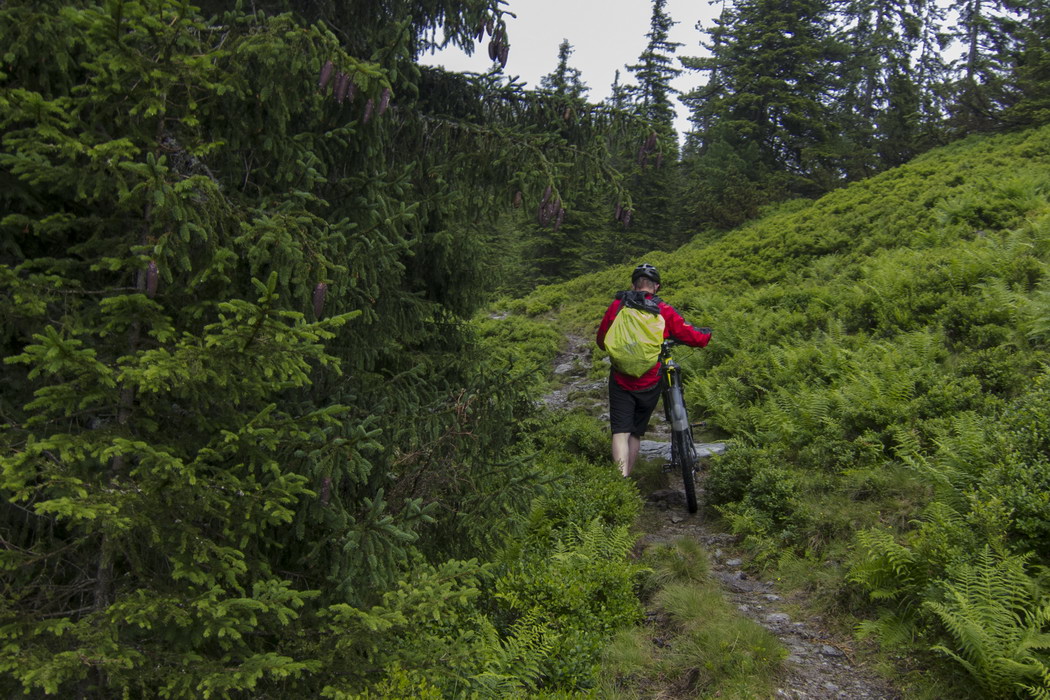 Bergweg MTB - Sven Michalczak