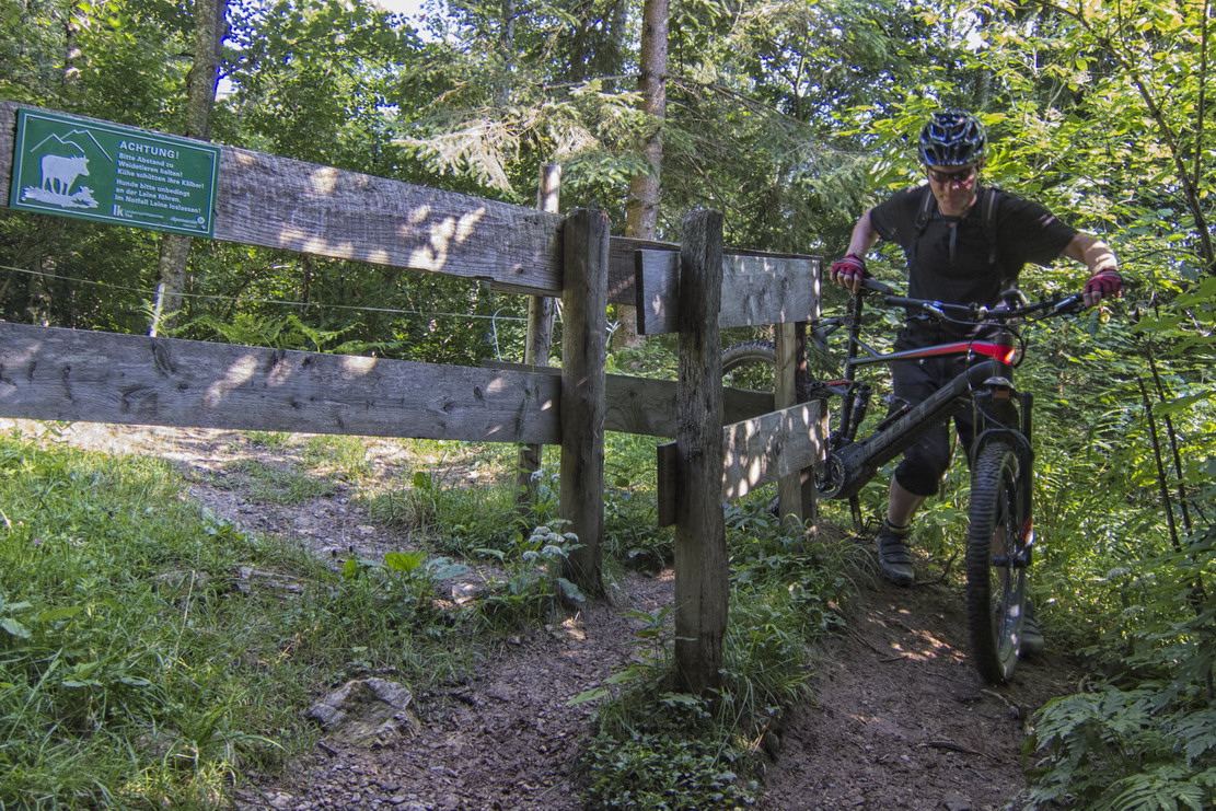 Itter Singletrail - Sven Michalczak