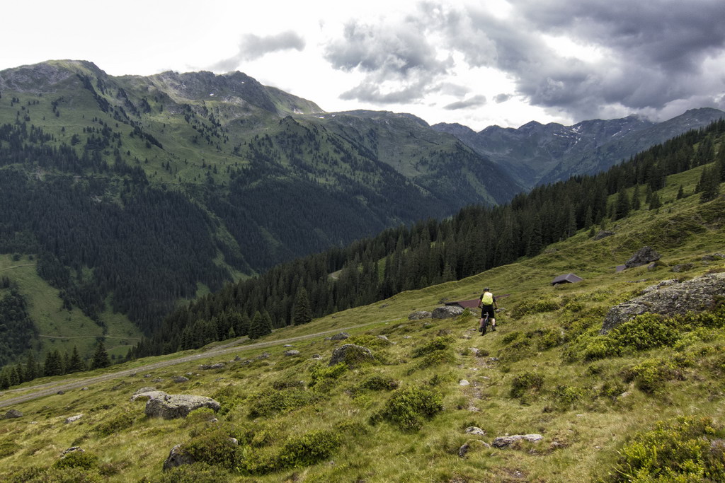 downhill Kelchsau - Sven Michalczak