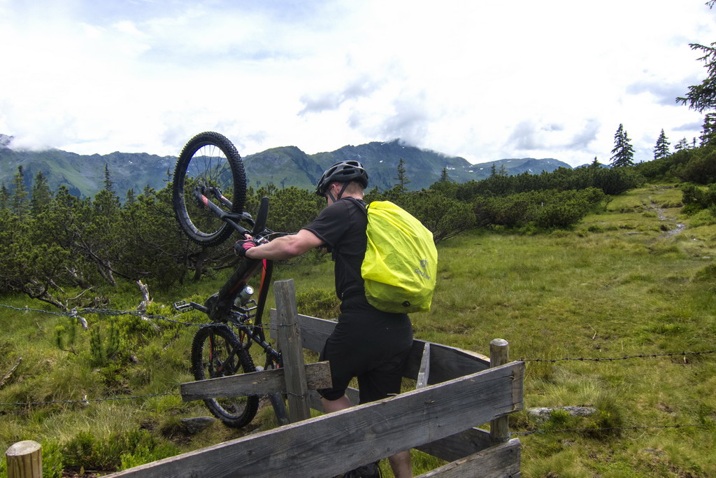 Weidezaun - Sven Michalczak