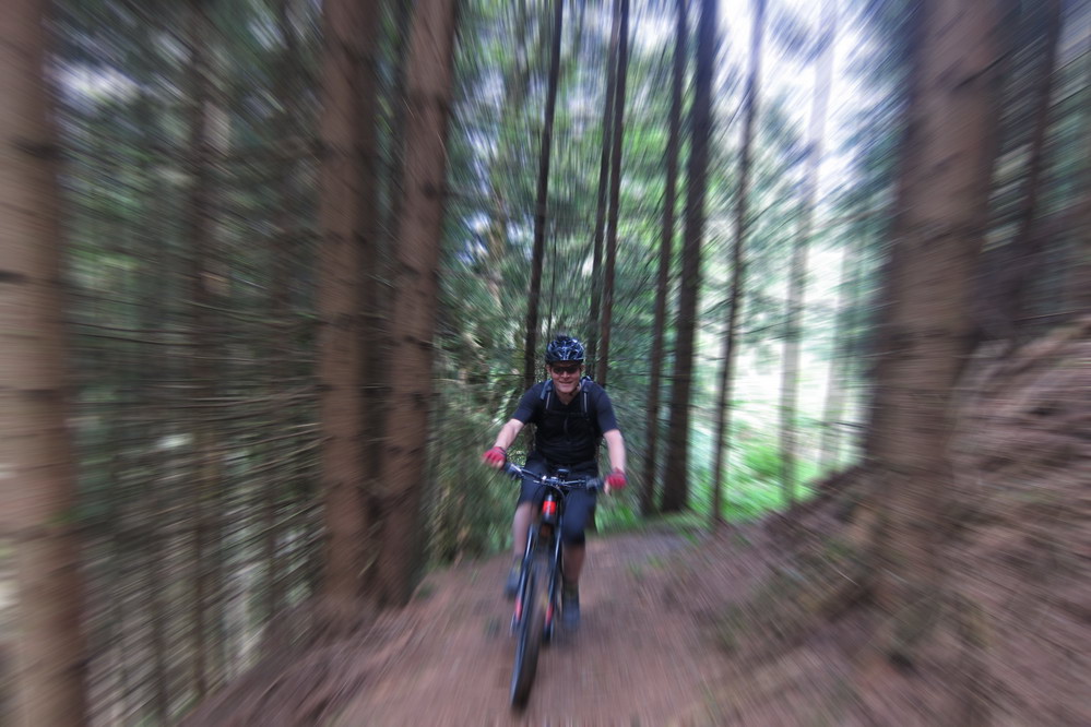 Kraftalm  - Sven Michalczak