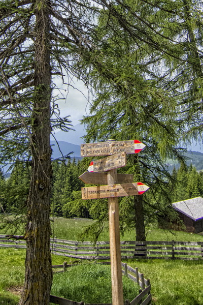 Sattler Hütter - MTB